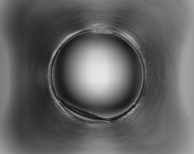 X0000092211392200709141018