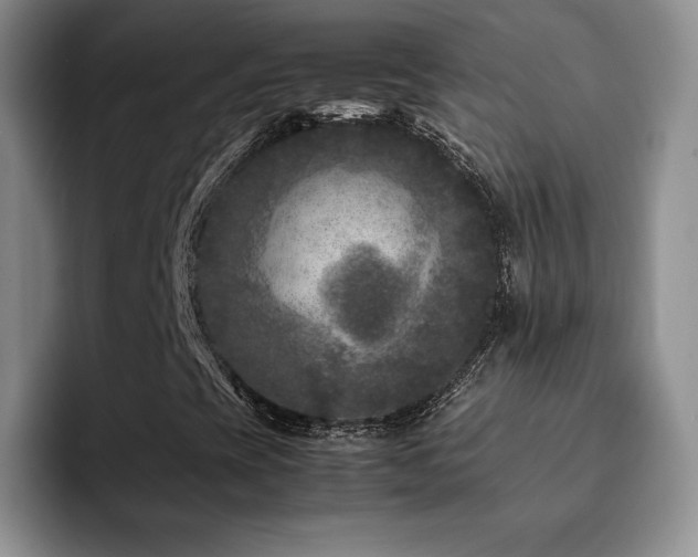 X0000092211393200709141018