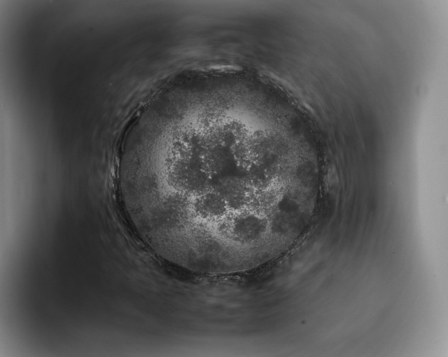 X0000092211397200709141018