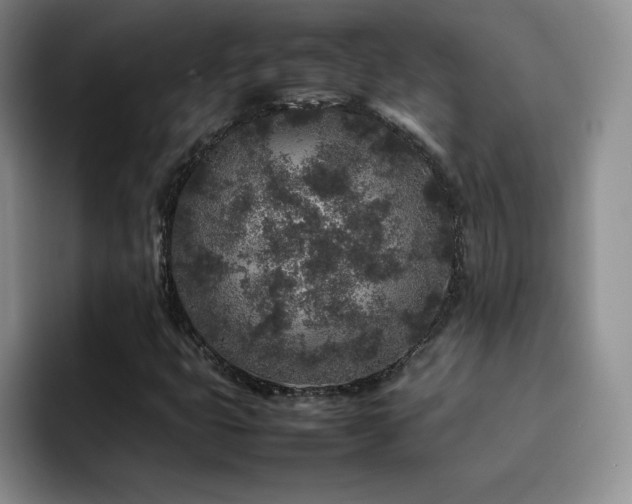 X0000092211399200709141018
