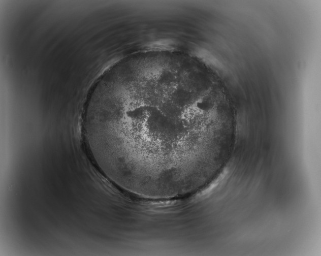 X0000092211401200709141018