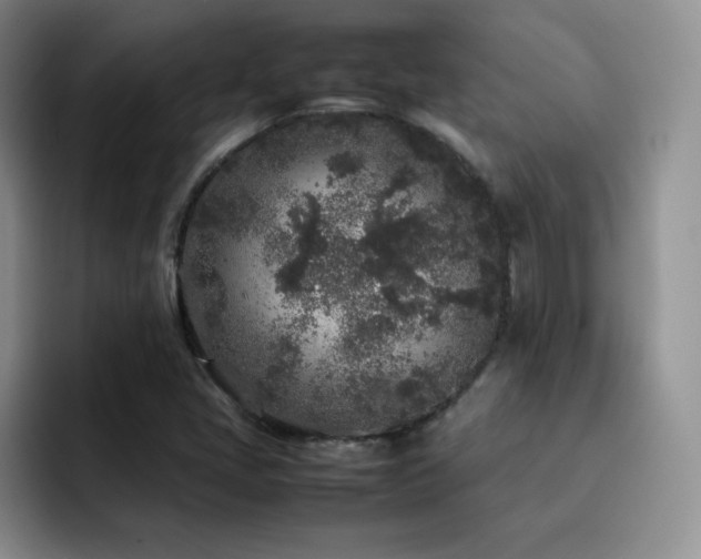 X0000092211405200709141018