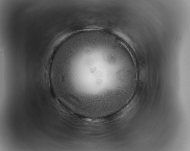 X0000092211407200709141018