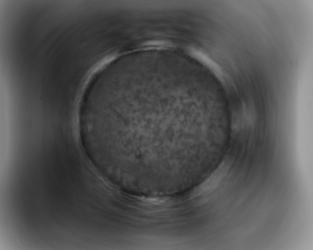 X0000092211411200709141018