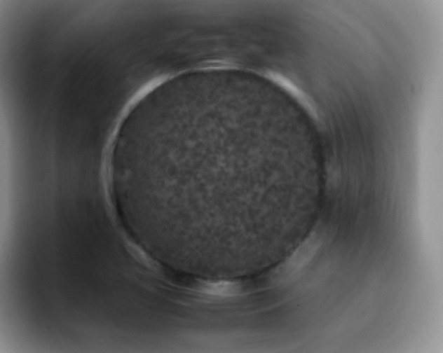 X0000092211413200709141018