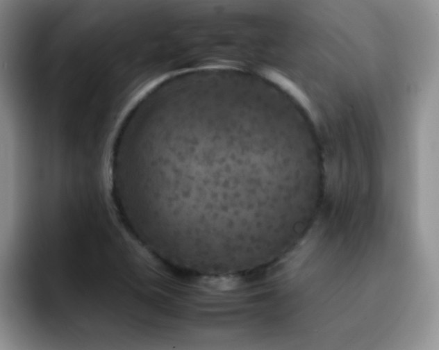 X0000092211415200709141018