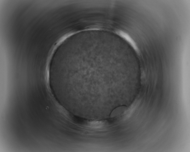 X0000092211419200709141018