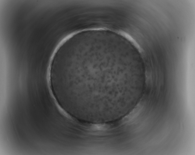 X0000092211421200709141018