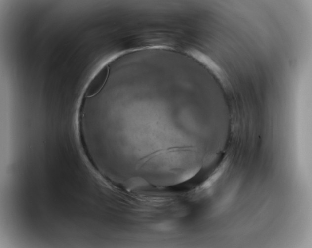 X0000092211423200709141018