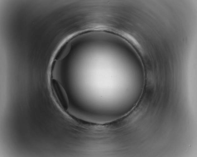 X0000092211424200709141018