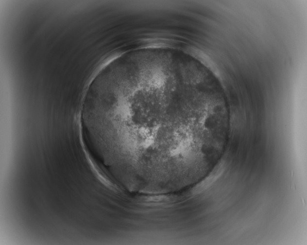 X0000092211425200709141018