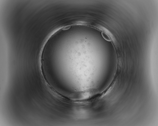 X0000092211435200709141018