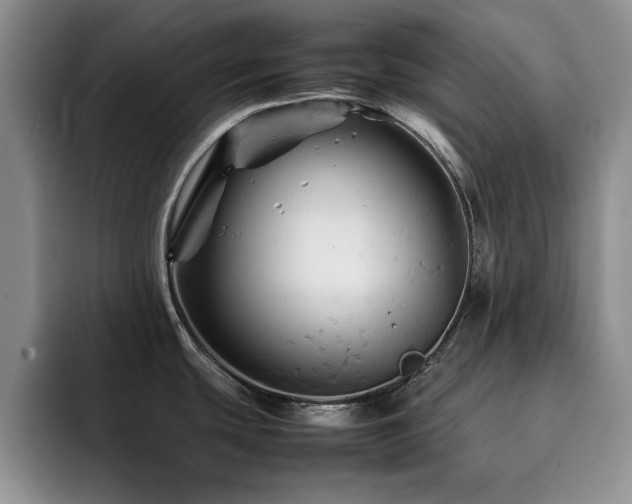 X0000092211439200709141018