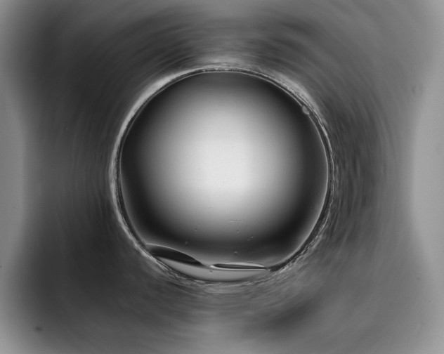 X0000092211440200709141018