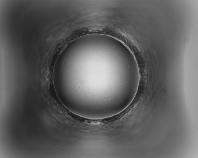 X0000092211445200709141018