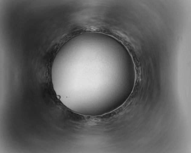 X0000092211446200709141017