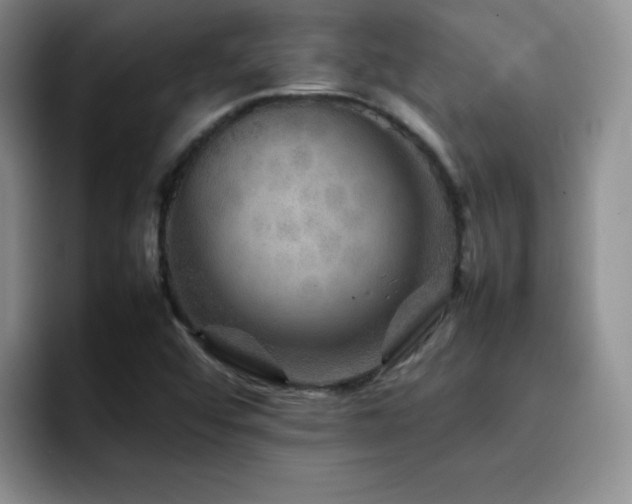 X0000092211456200709141017
