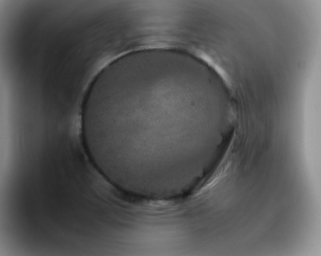 X0000092211459200709141017