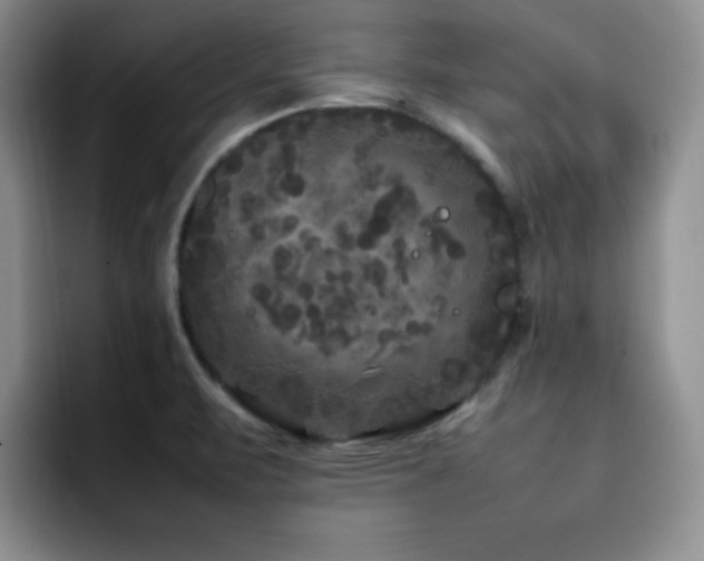 X0000092211471200709141017