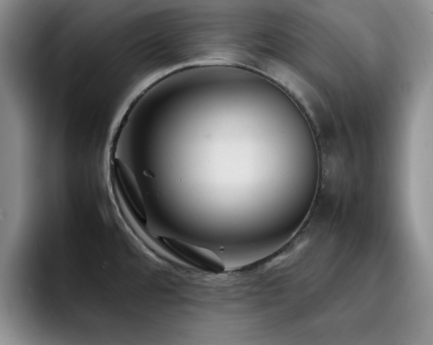 X0000092211480200709141017