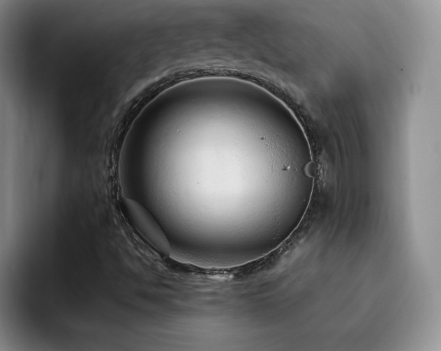 X0000092211494200709141017