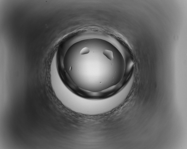 X0000092211496200709141017
