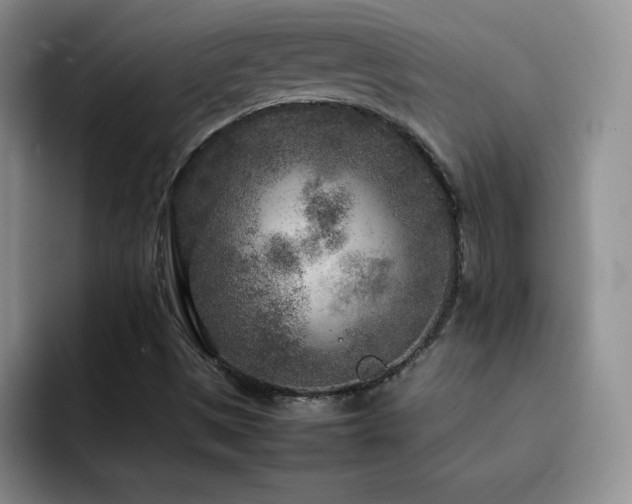 X0000092211497200709141017