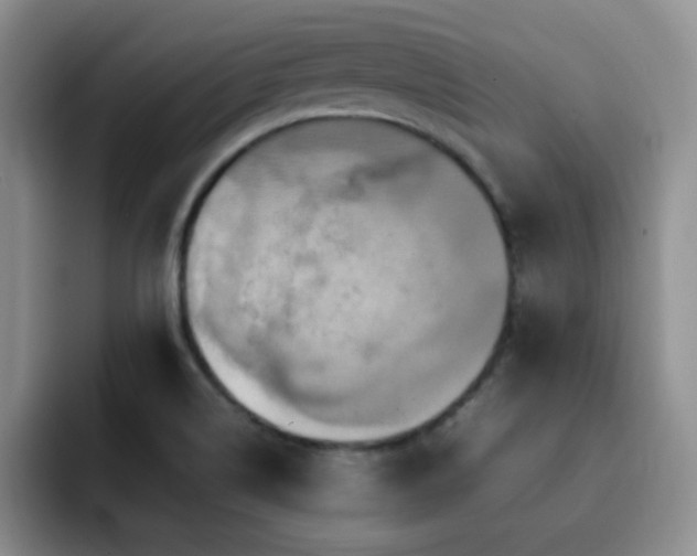 X0000092211514200709141017