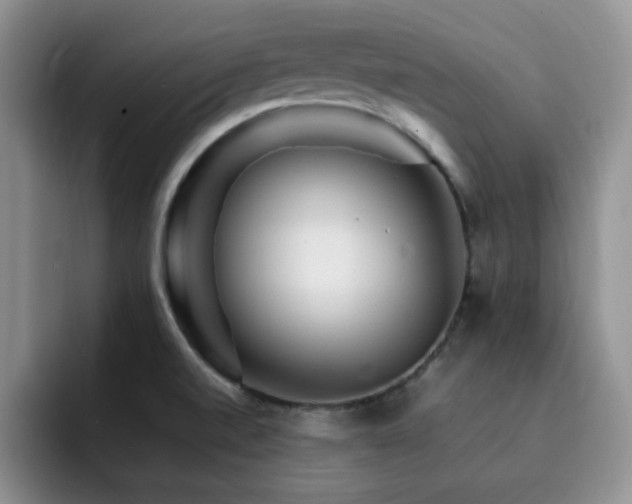 X0000092211520200709141017