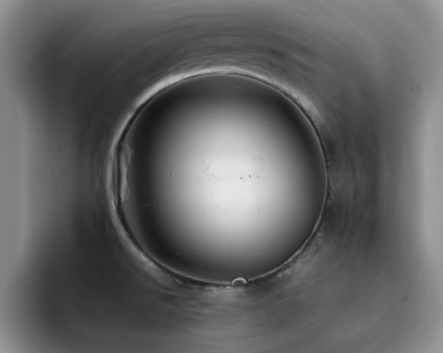 X0000092211526200709141017