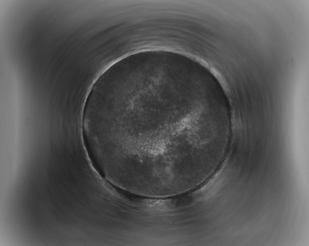 X0000092211529200709141017
