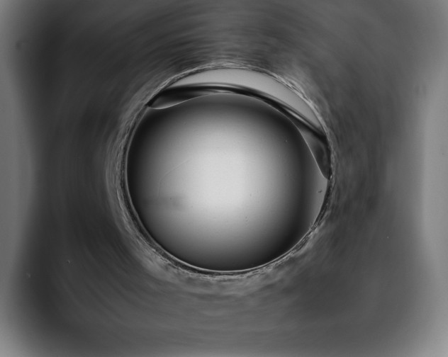 X0000092210001200709210958