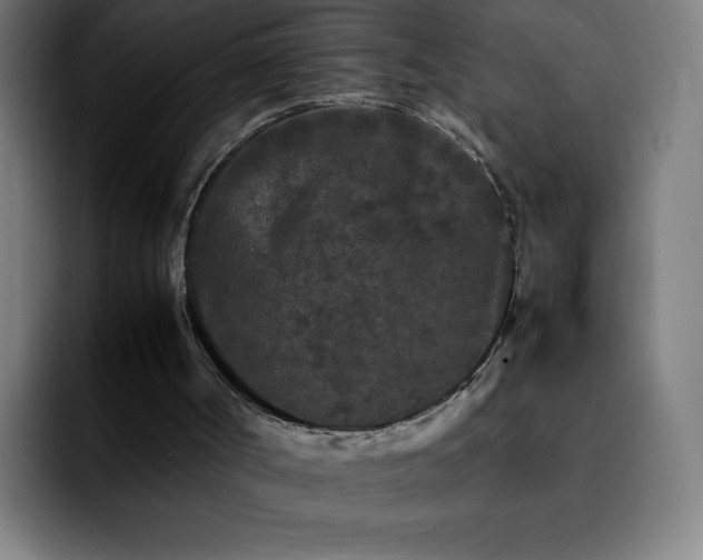 X0000092210002200709210958