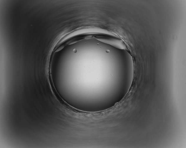 X0000092210003200709210958