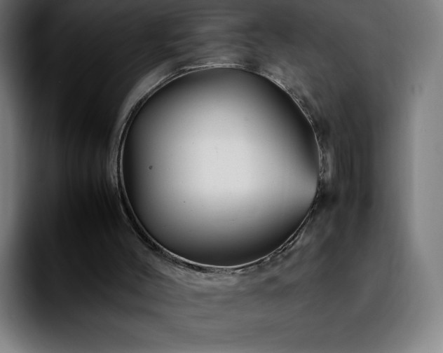 X0000092210004200709210958