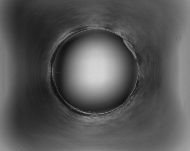 X0000092210005200709210958