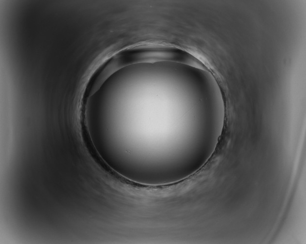 X0000092210007200709210958