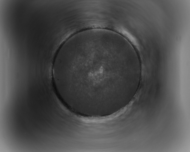 X0000092210009200709210958