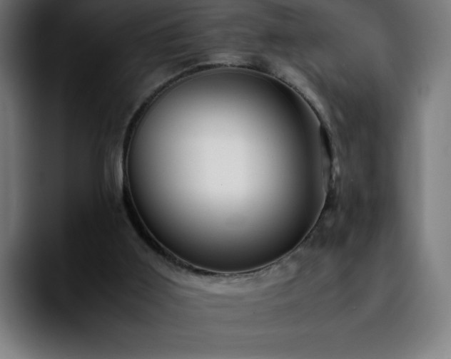 X0000092210011200709210958