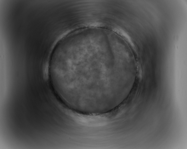 X0000092210012200709210958