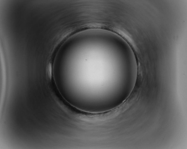 X0000092210013200709210958