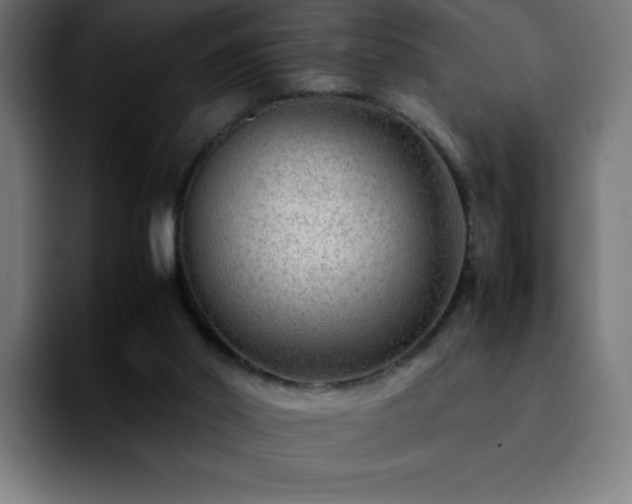 X0000092210014200709210958