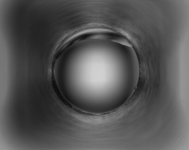 X0000092210015200709210958