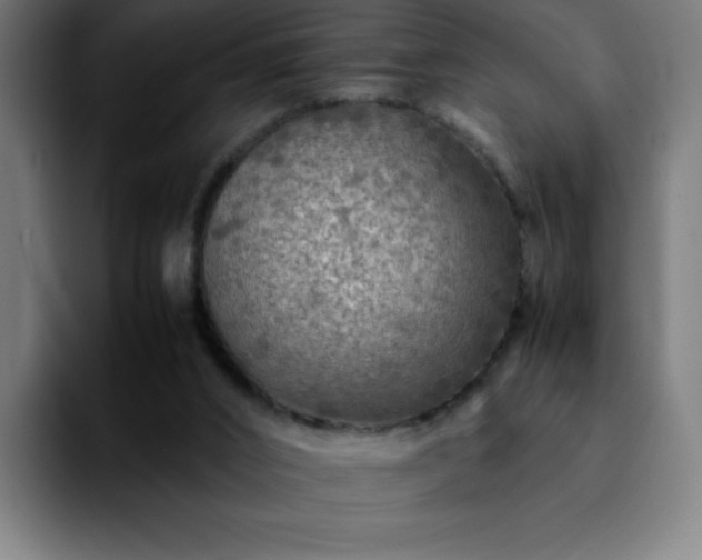 X0000092210016200709210958