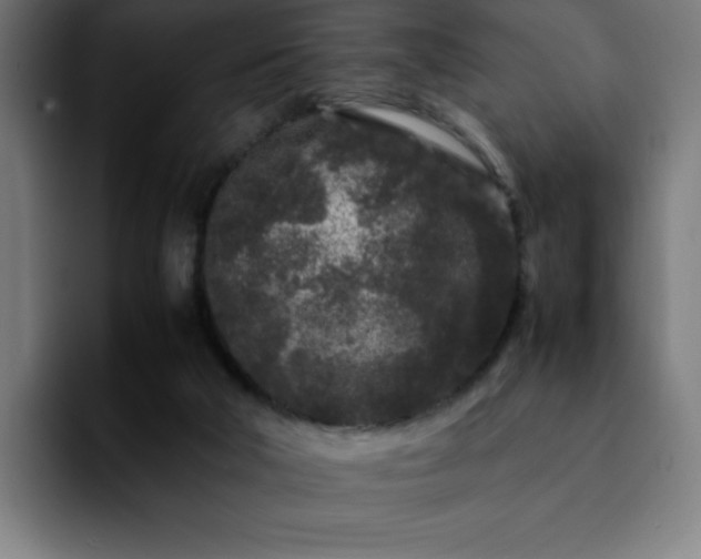 X0000092210018200709210958