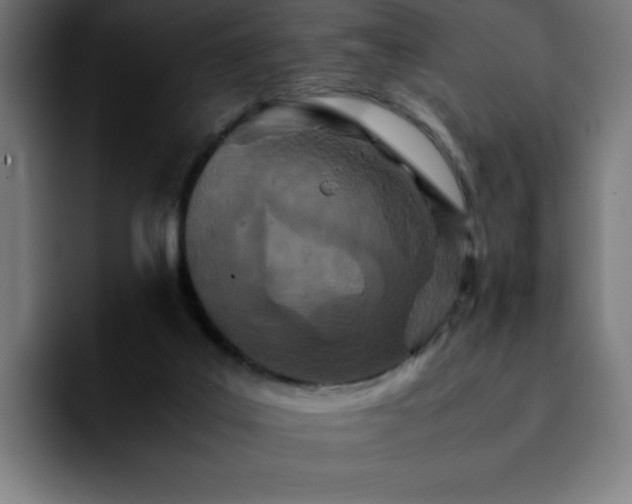 X0000092210019200709210958