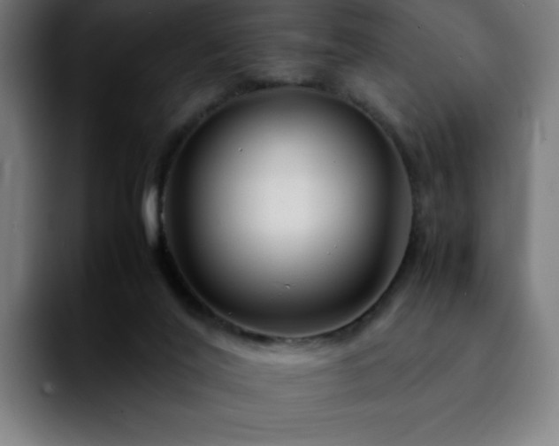 X0000092210020200709210958