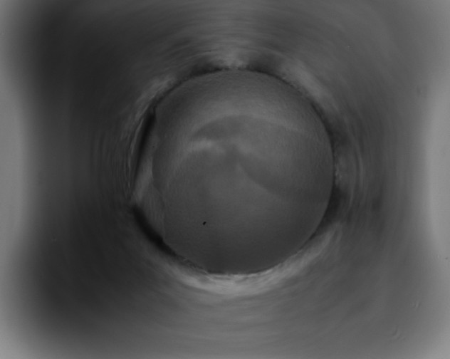 X0000092210023200709210958