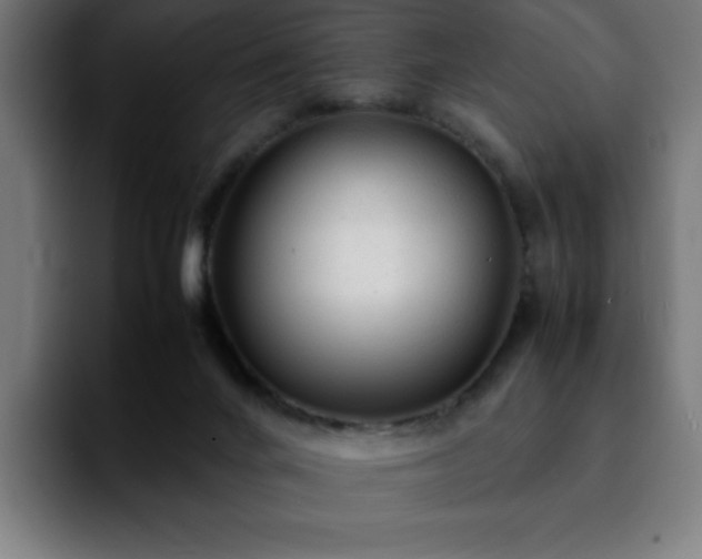 X0000092210024200709210958