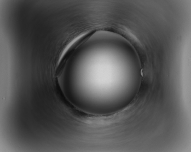 X0000092210025200709210958